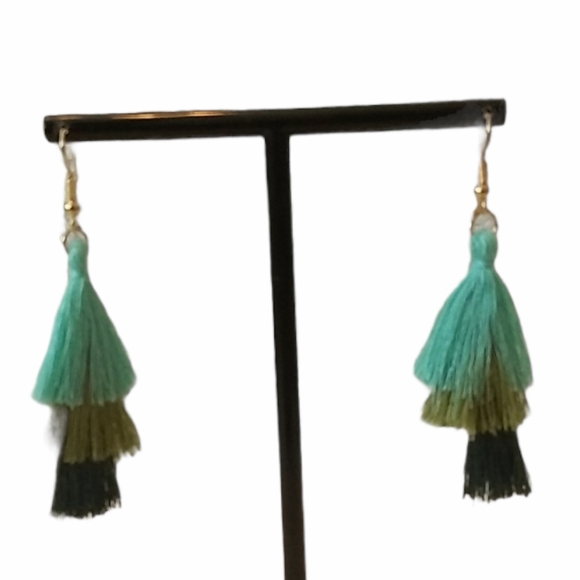 None Jewelry - NWOT Bohemian Tassel Earrings